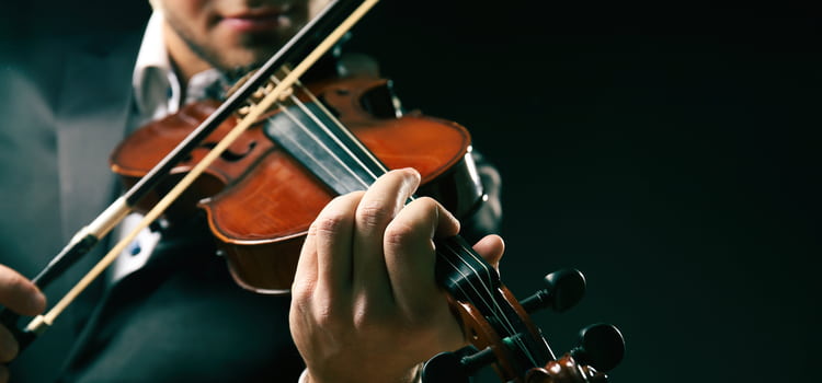 a violinist places his fingers on the neck of the violin and positions the bow