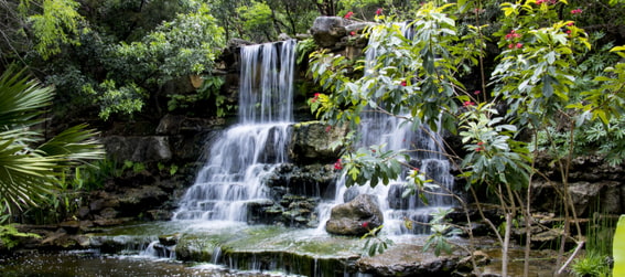 waterfall at the Zilker Botanical Garden