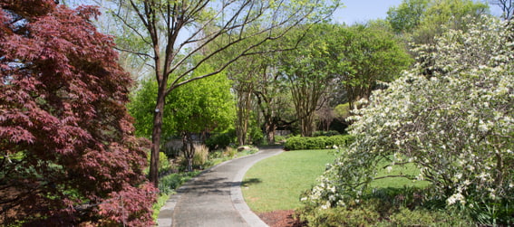 walkway at the Dallas Arboretum & Botanical Gardens