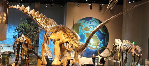 Perot Museum of Nature and Science